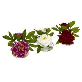 Peony w/Glass Vase (Set of 3)