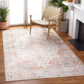 3 ft. x 5 ft. Traditional Persian Style Washable Boho Light Grey Red Area Rug