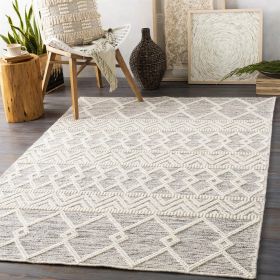 3-ft. x 5-ft. Hand Woven Wool Blend Grey Beige Ivory Persian Style Area Rug